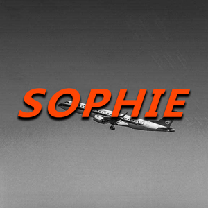 91少妇被躁爽到高潮无码播放
