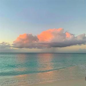 91少妇被躁爽到高潮无码播放
