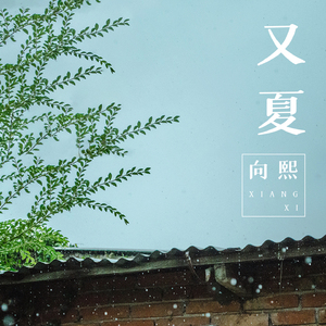 91少妇被躁爽到高潮无码播放
