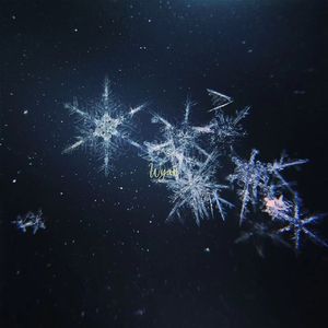 91少妇被躁爽到高潮无码播放
